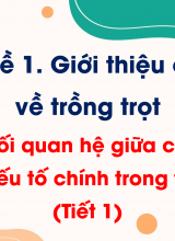 CN Trồng trọt - Bài 3 Mối quan hệ giữa cây trồng và các yếu tố chính trong trồng trọt (Tiết 1)